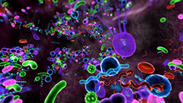 bright neon-colored rendering of bacteria